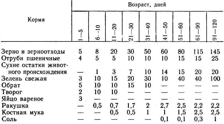 Правильное кормление в домашних условиях индюшат