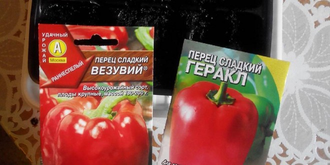 Добрый день хороших выходных картинки