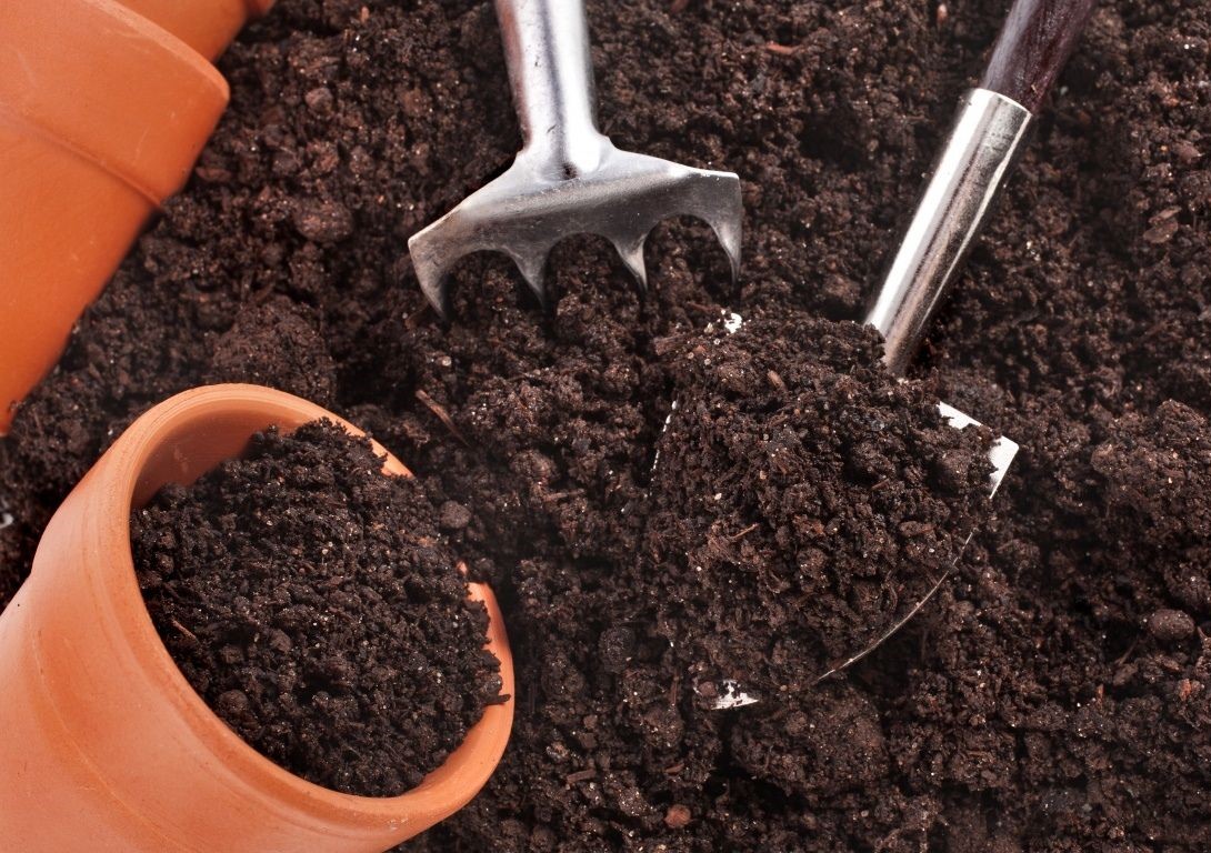 Подготовка почвы для баклажанов