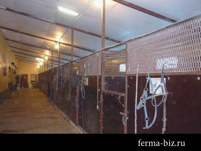 Ферма для лошадей: содержание лошадей.