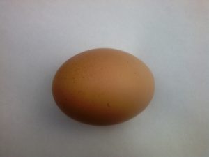 Домашнее куриное яйцо - белок, желток, польза, вред