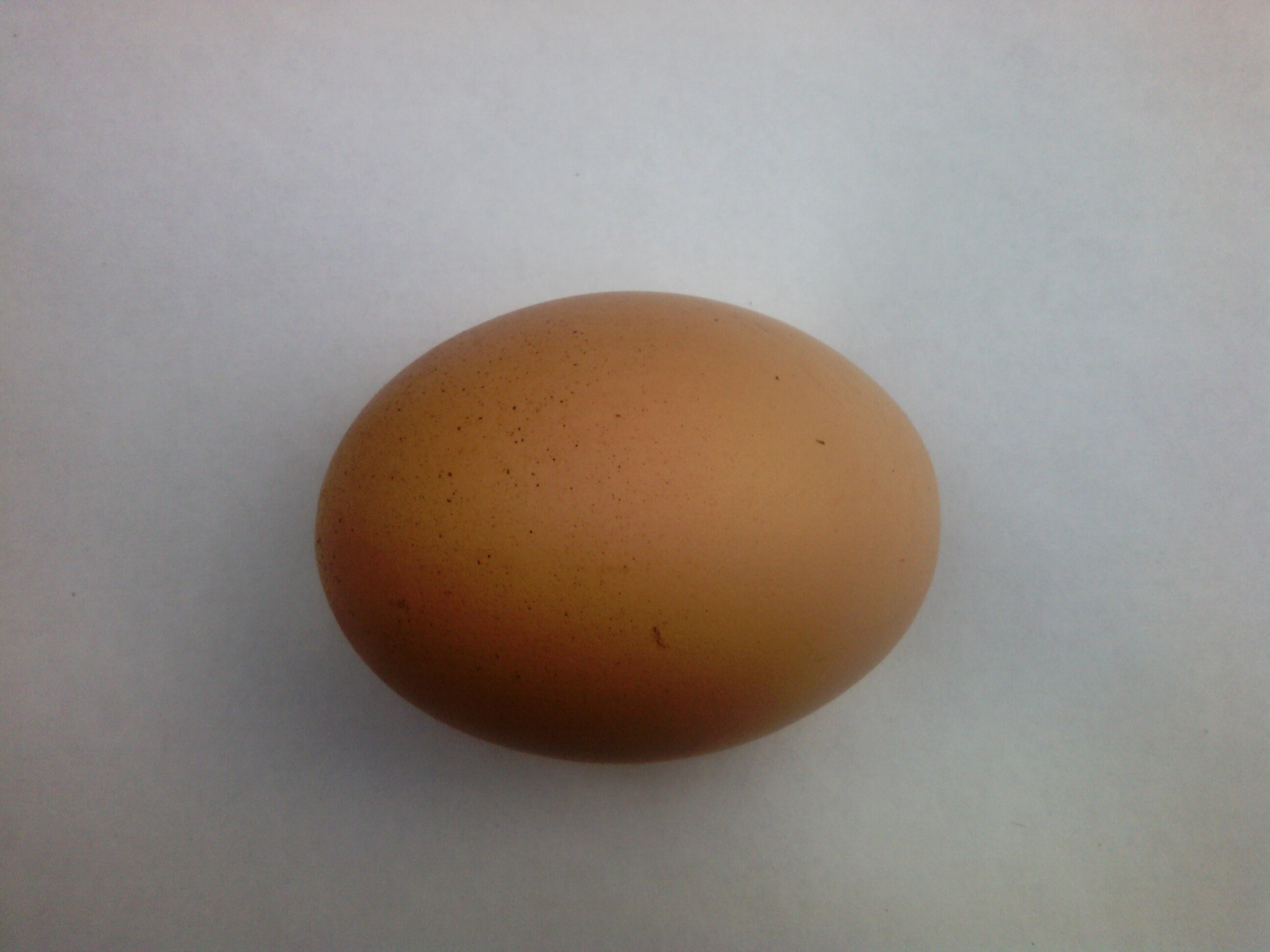 Куриное яйцо