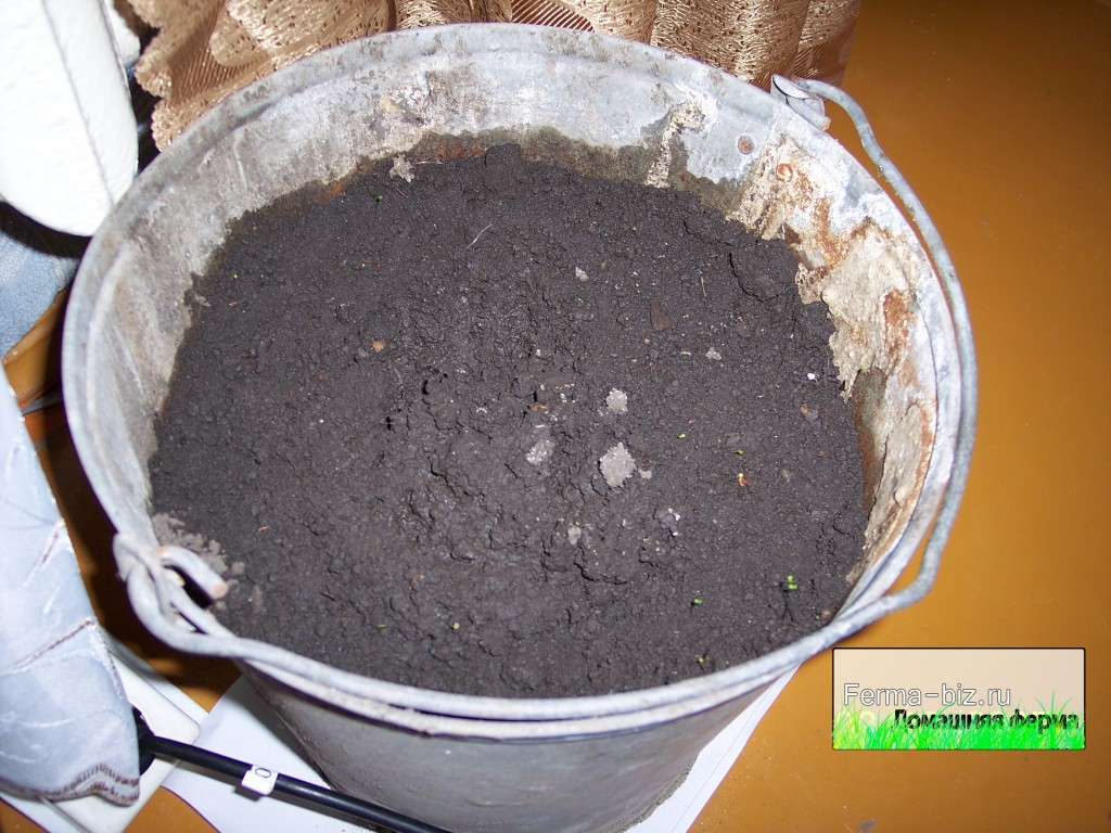 Подготовка почвы перед посадкой рассады перца