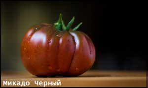 Микадо чёрный Томат Микадо чёрный