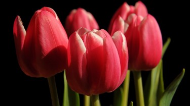 Фото