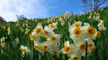 Фото