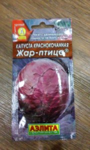 Посадка капусты на рассаду