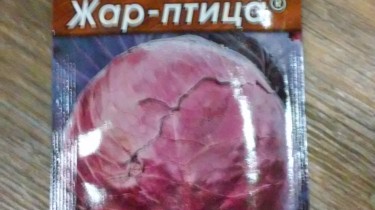 Посадка капусты на рассаду