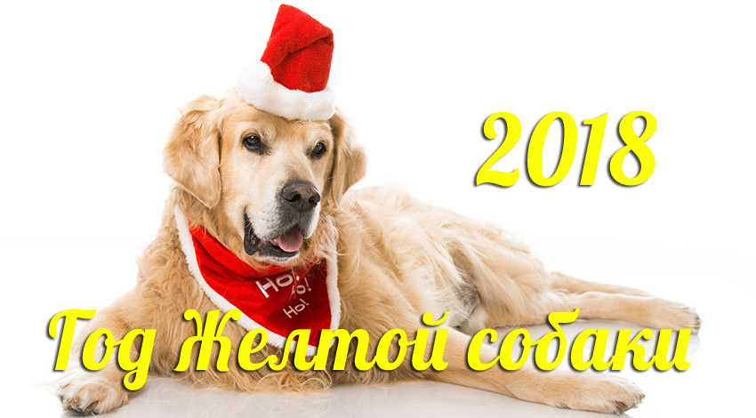 красивые открытки на новый год собаки 2018 прикольные фото и картинки