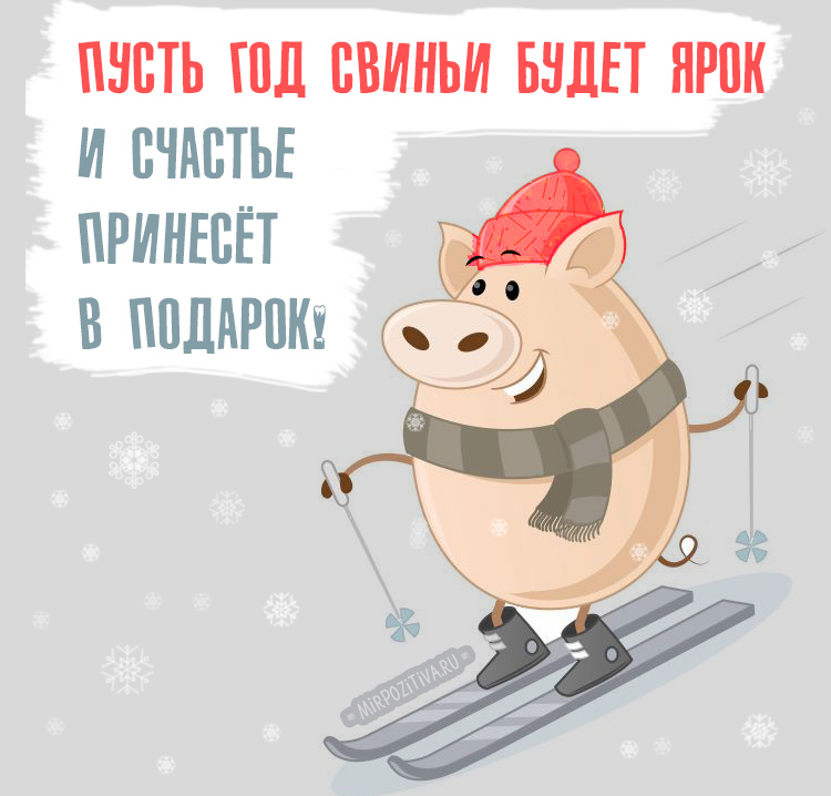 Новогодние картинки в год Свиньи.