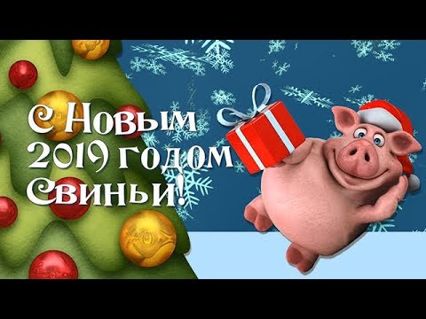 Открытки на Новый год Свиньи 2019 коллегам.