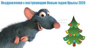 Новогодние поздравления с наступающим 2020 годом Крысы