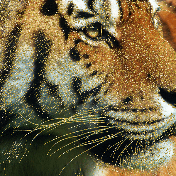 Новогодние гифки с символом года 2022 - Тигром