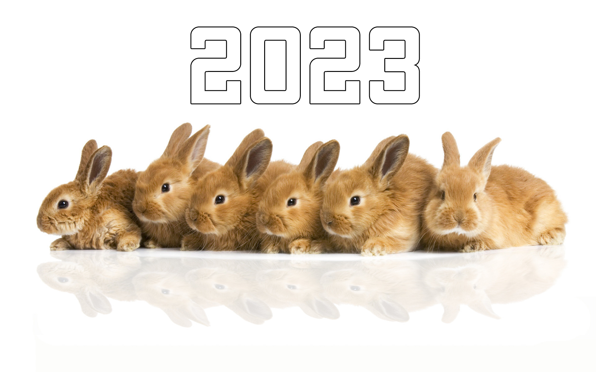 Новогодние надписи с символом года 2023 - Кроликом