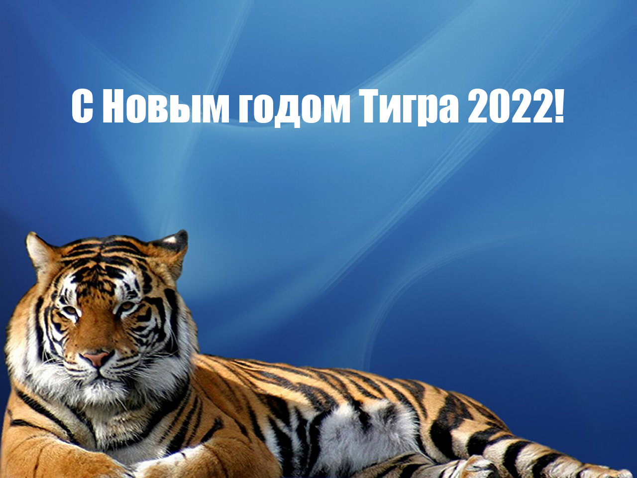 Открытки с Новым годом Тигра 2022