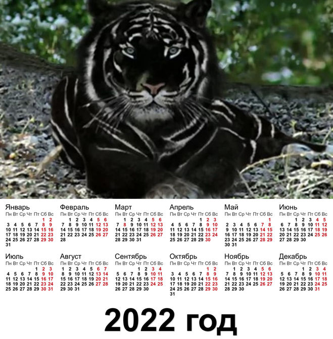 Календари с Тигром на 2022 год: скачать бесплатно
