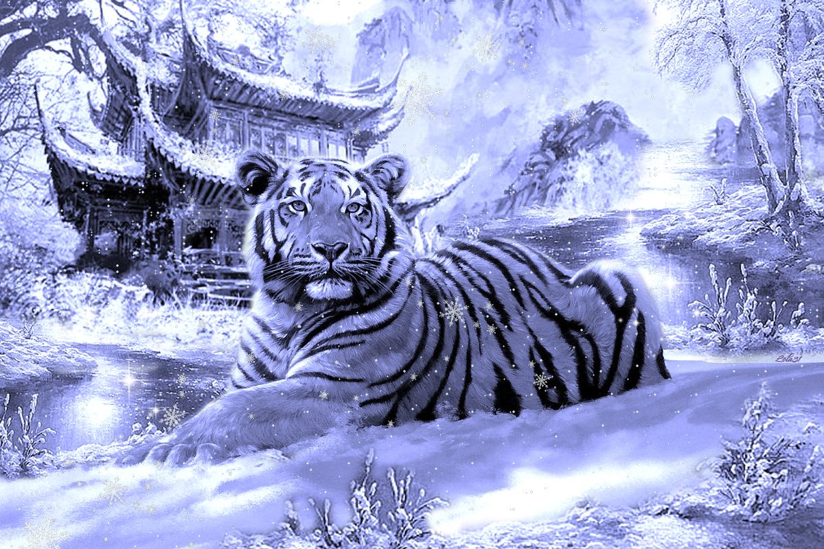 Новогодние картинки с Тигром 2022
