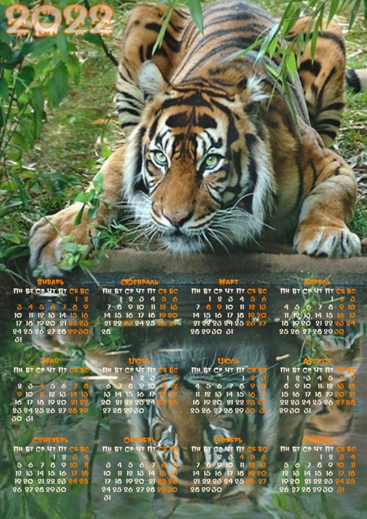 Календари с Тигром на Новый 2022 год