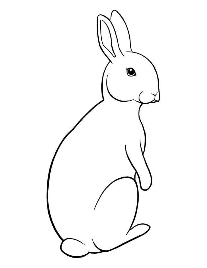 Рисунок Кролика для срисовки