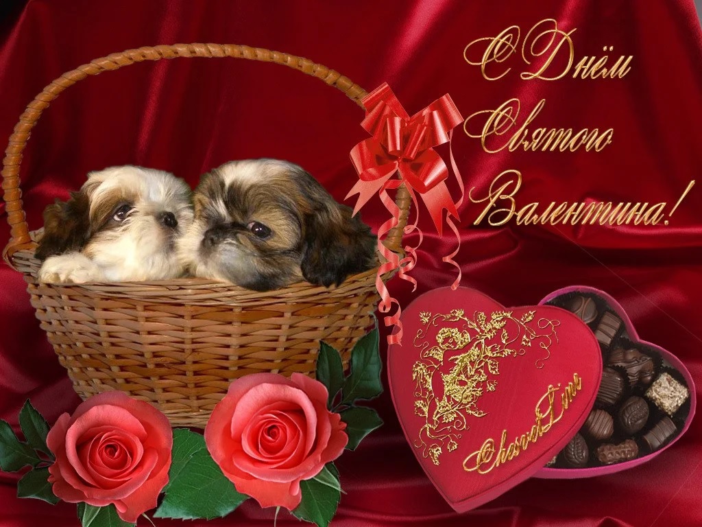 Красивые картинки и открытки с Днём Святого Валентина