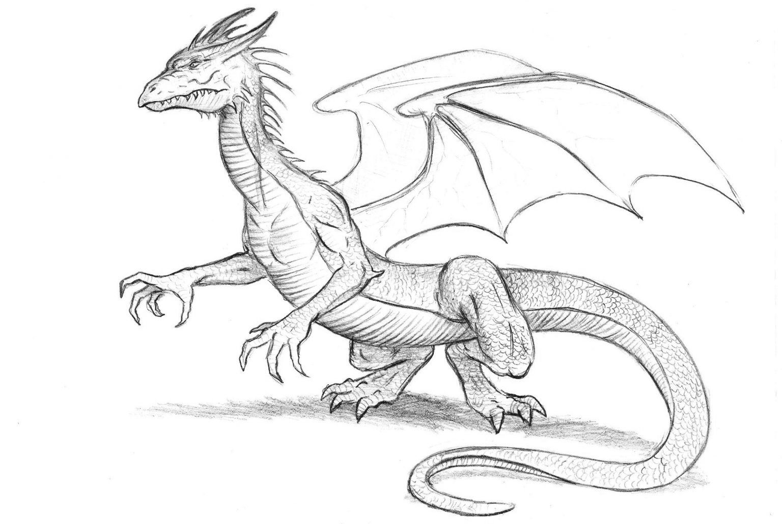 Рисунок Дракона для срисовки