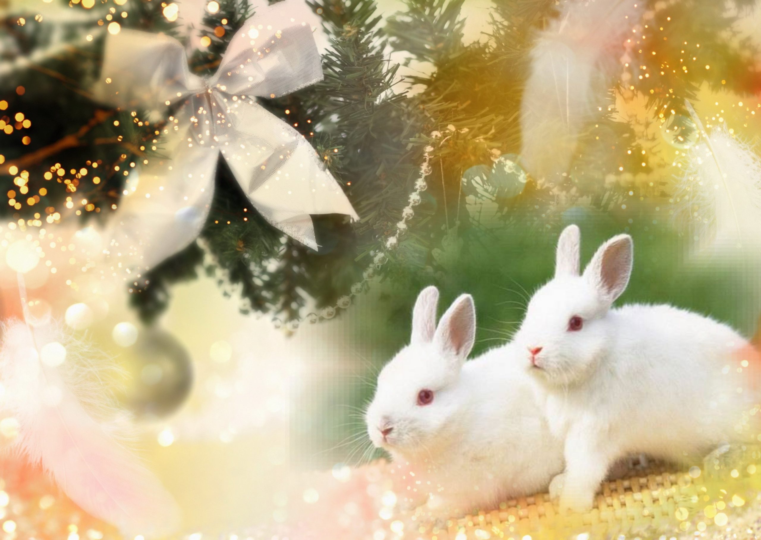 Новогодние картинки с Кроликами