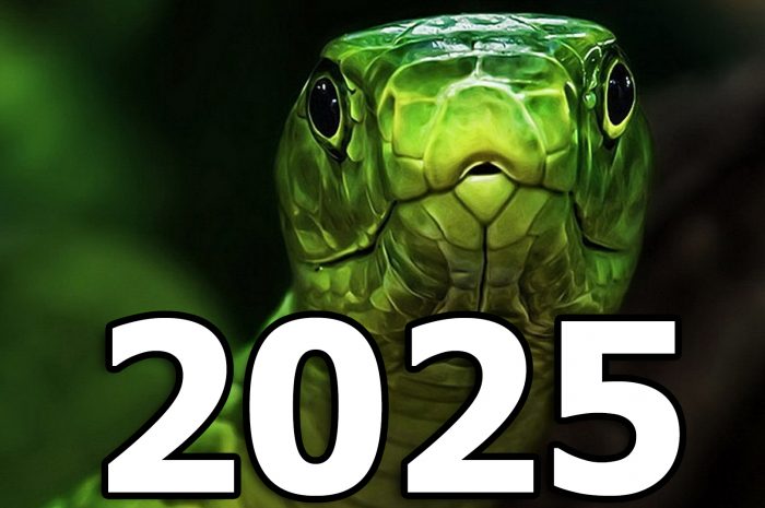 Надписи на Новый год 2025