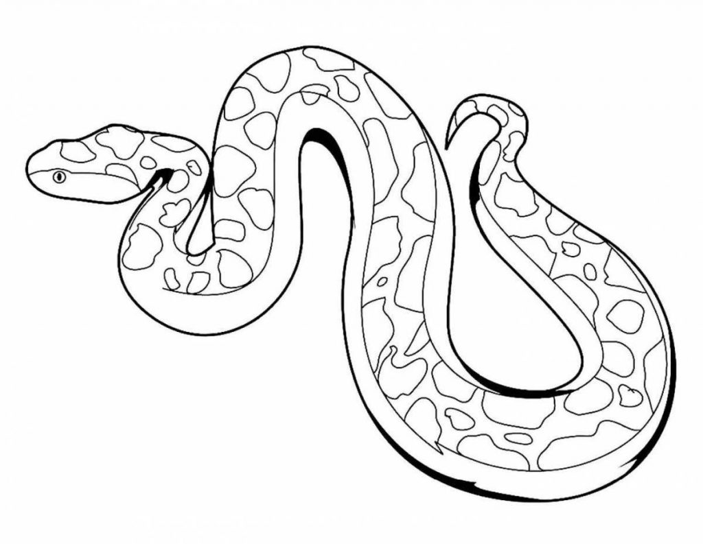 Раскраски с символом 2025 года - Змеёй