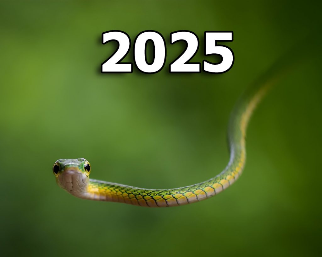 Новогодние надписи с символом года 2025 - Змеёй