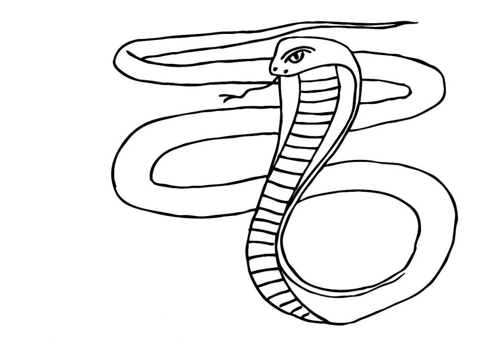 Раскраски с символом 2025 года - Змеёй