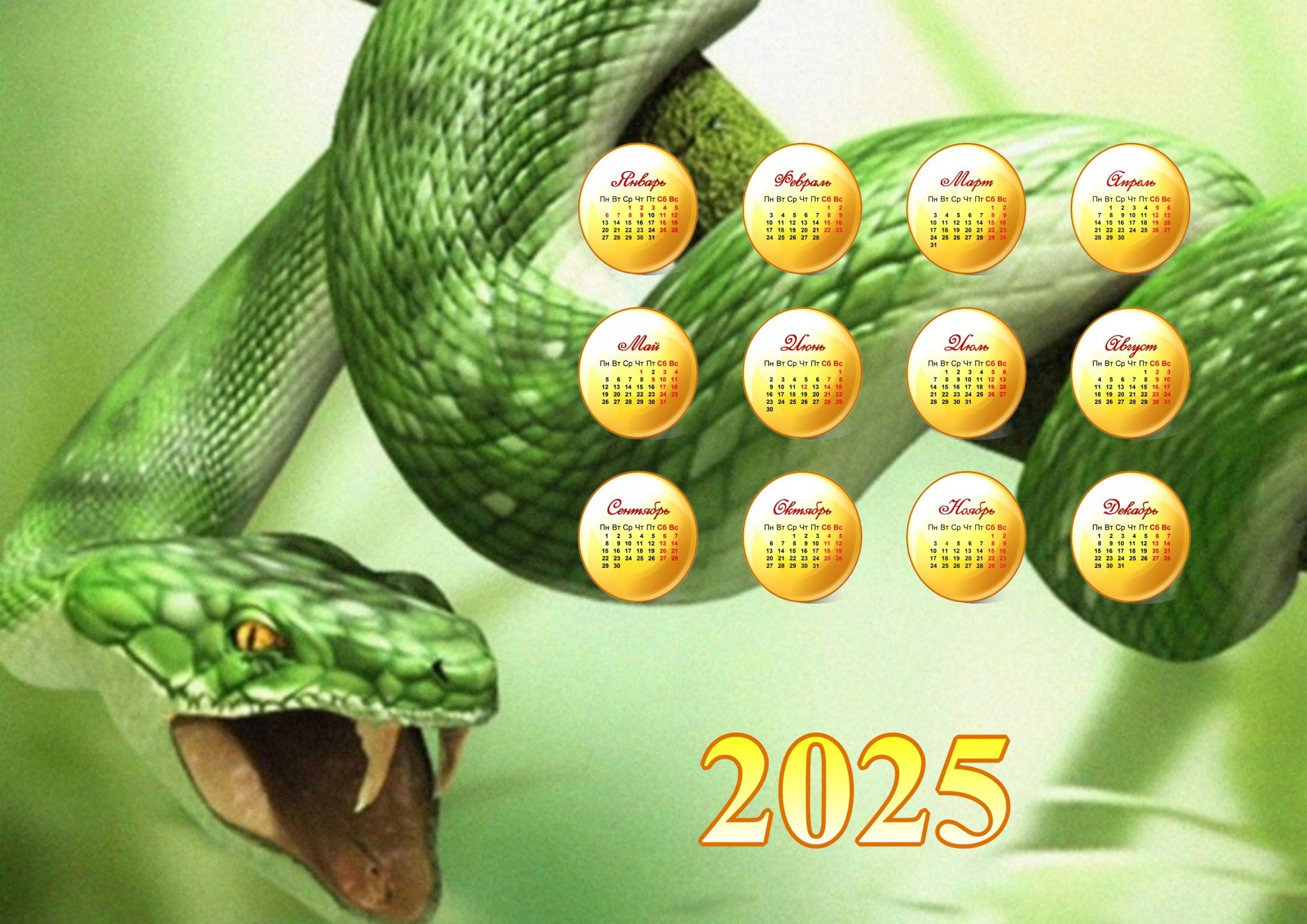 Настенные календари с символом 2025 года - со Змеёй