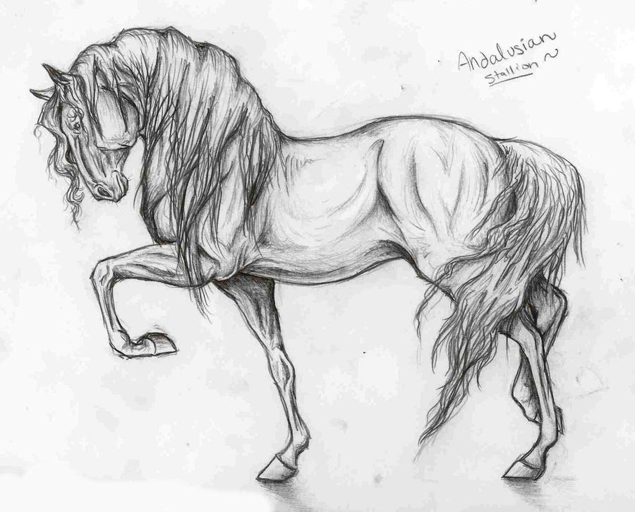 Рисунок Лошади для срисовки